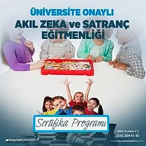 Üniversite Onaylı Akıl Zeka Oyunları Eğitimi ve Satranç Eğitimi