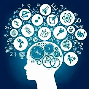 İnfluencer Marketing Sertifika Programı