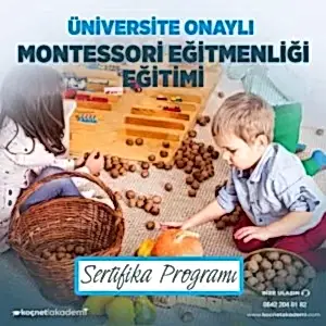 Üniversite Onaylı Montessori Eğitmenliği Eğitimi