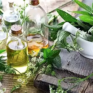 Fitoterapi Eğitimi Sertifikası