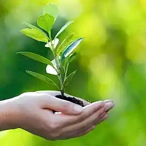 Manevi Rehberlik ve Danışmanlık Eğitimi