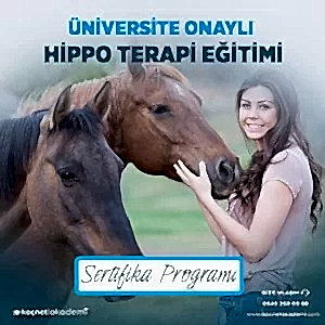 üniversite onaylı Hippo Terapi Eğitimi Sertifikası Programı