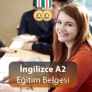 İngilizce Eğitim Belgesi