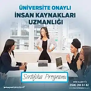 üniversite onaylı insan Kaynakları uzmanlığı Sertifika programı