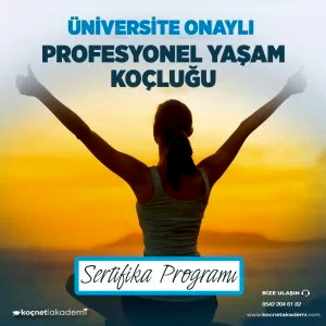 üniversite onaylı Profesyonel Yaşam Koçu Sertifika programı