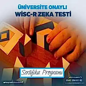 Üniversite Onaylı WISC-R Zeka Testi Eğitimi